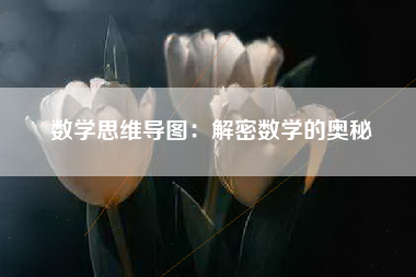 数学思维导图：解密数学的奥秘