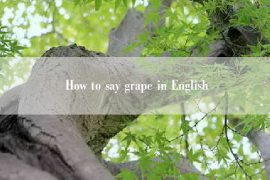 How to say grape in English