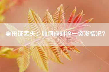 身份证丢失：如何应对这一突发情况？