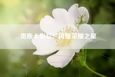 奥斯卡影后：闪耀荣耀之星