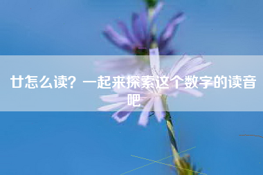 廿怎么读？一起来探索这个数字的读音吧