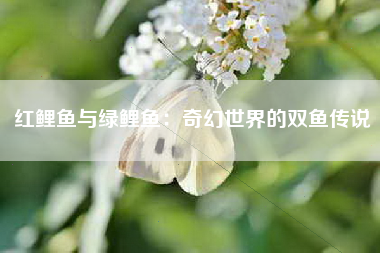 红鲤鱼与绿鲤鱼：奇幻世界的双鱼传说