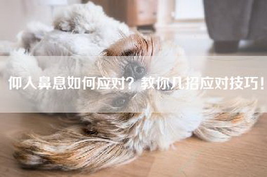 仰人鼻息如何应对？教你几招应对技巧！