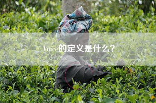 Voice的定义是什么？