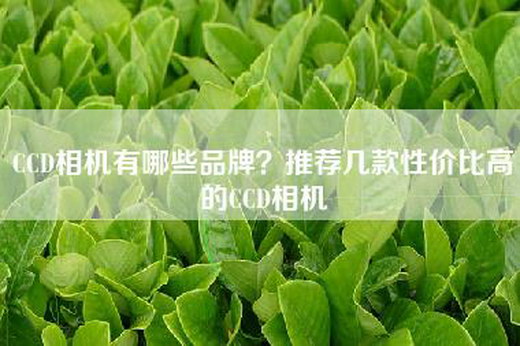 CCD相机有哪些品牌？推荐几款性价比高的CCD相机