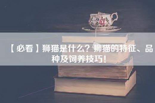 【必看】狮猫是什么？狮猫的特征、品种及饲养技巧！