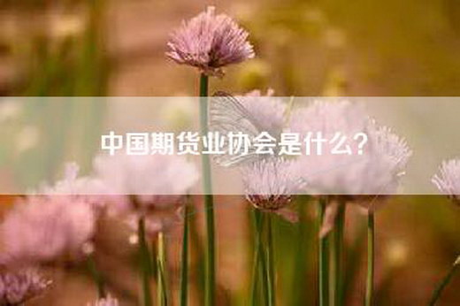 中国期货业协会是什么？