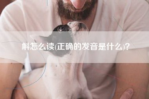 斛怎么读(正确的发音是什么)？