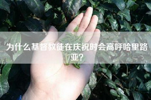 为什么基督教徒在庆祝时会高呼哈里路亚？