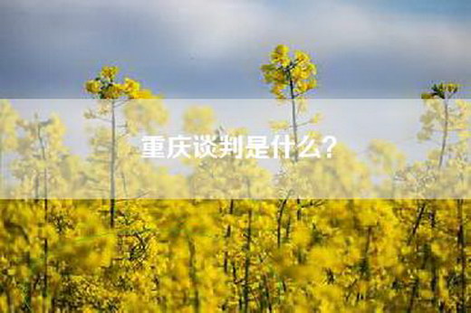 重庆谈判是什么？