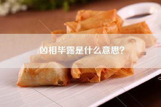 凶相毕露是什么意思？