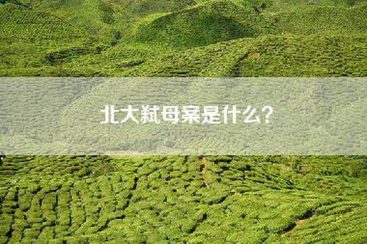 北大弑母案是什么？