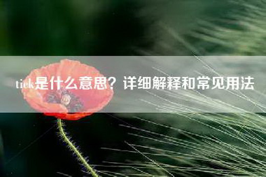 tick是什么意思？详细解释和常见用法