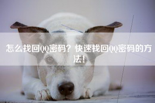 怎么找回QQ密码？快速找回QQ密码的方法！