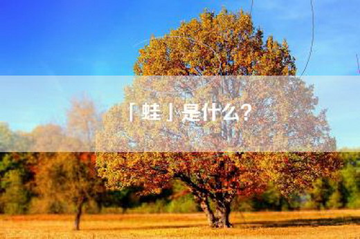 「蛙」是什么？