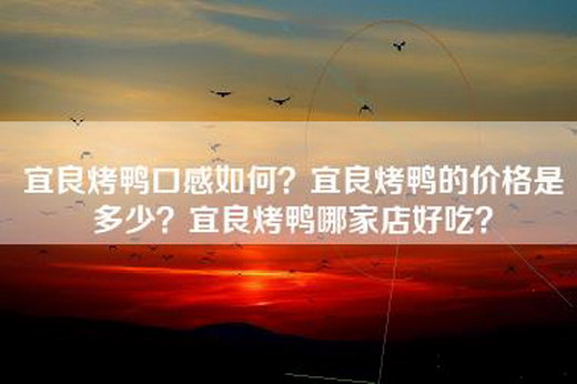 宜良烤鸭口感如何？宜良烤鸭的价格是多少？宜良烤鸭哪家店好吃？