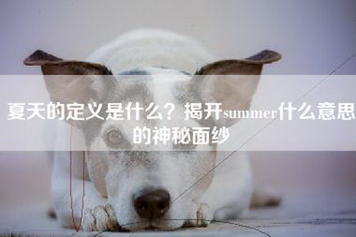 夏天的定义是什么？揭开summer什么意思的神秘面纱