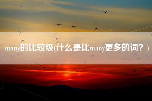 many的比较级(什么是比many更多的词？)