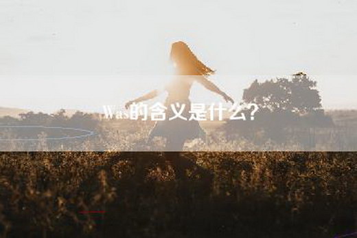 Was的含义是什么？