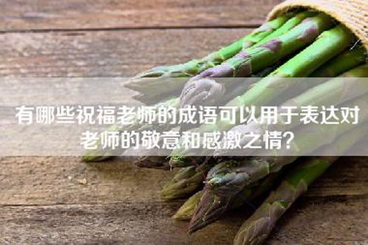 有哪些祝福老师的成语可以用于表达对老师的敬意和感激之情？