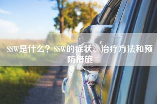 SSW是什么？SSW的症状、治疗方法和预防措施