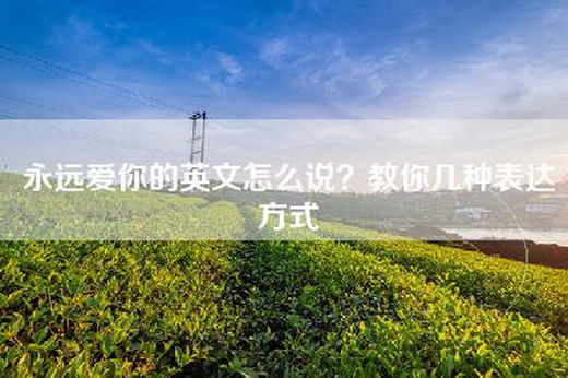 永远爱你的英文怎么说？教你几种表达方式