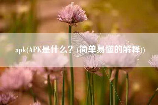 apk(APK是什么？(简单易懂的解释))