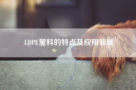 LDPE塑料的特点及应用领域