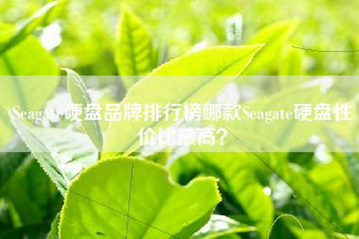 Seagate硬盘品牌排行榜哪款Seagate硬盘性价比最高？