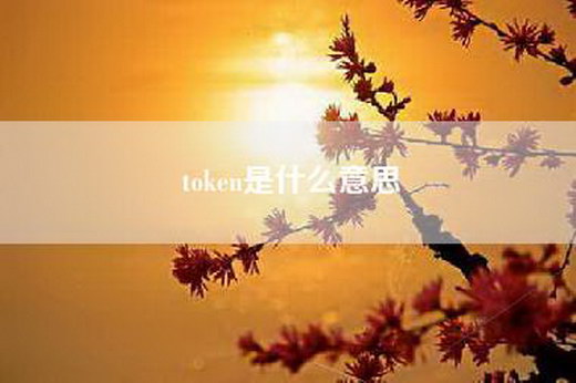 token是什么意思