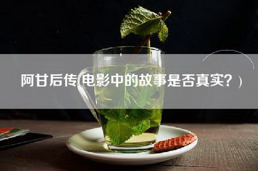 阿甘后传(电影中的故事是否真实？)