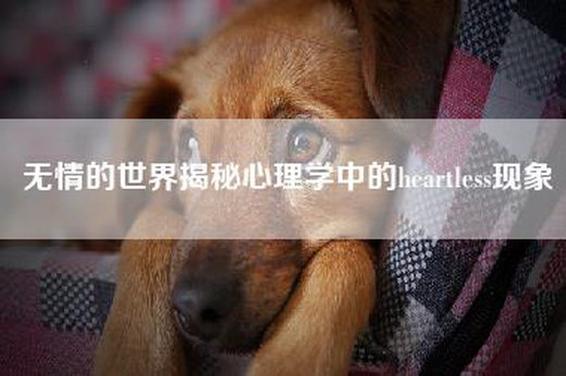 无情的世界揭秘心理学中的heartless现象