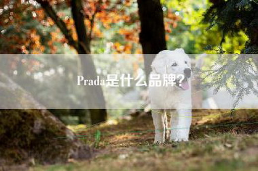 Prada是什么品牌？