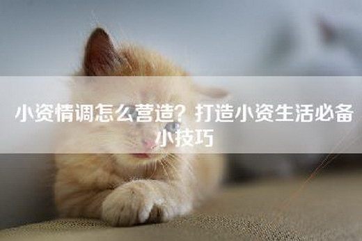 小资情调怎么营造？打造小资生活必备小技巧