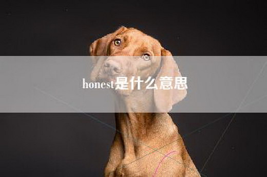 honest是什么意思