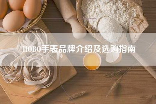 HOBO手表品牌介绍及选购指南