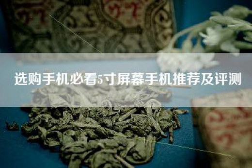 选购手机必看5寸屏幕手机推荐及评测