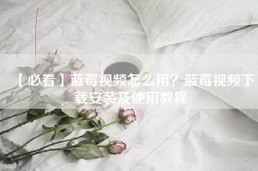 【必看】蓝莓视频怎么用？蓝莓视频下载安装及使用教程