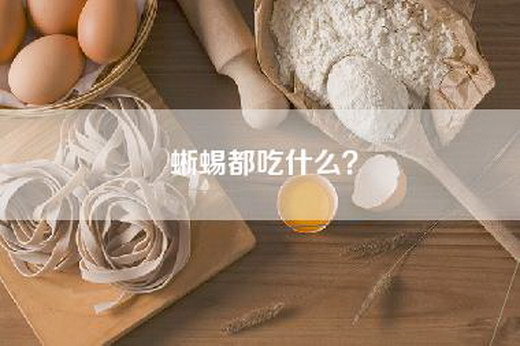 蜥蜴都吃什么？