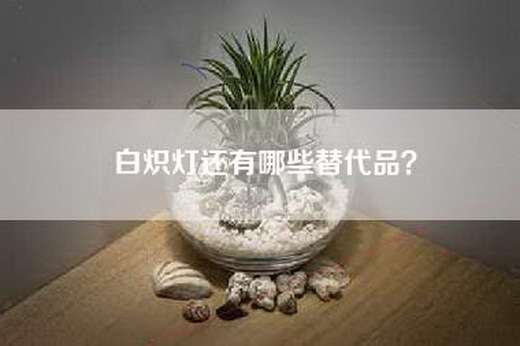 白炽灯还有哪些替代品？