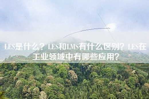 LES是什么？LES和LMS有什么区别？LES在工业领域中有哪些应用？