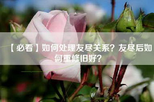 【必看】如何处理友尽关系？友尽后如何重修旧好？