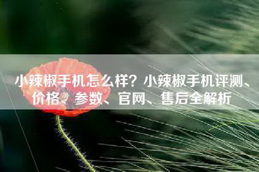 小辣椒手机怎么样？小辣椒手机评测、价格、参数、官网、售后全解析