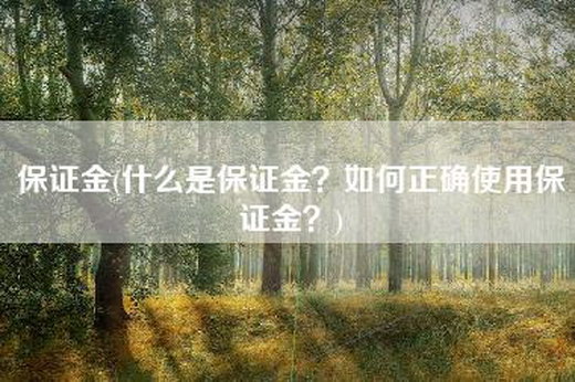 保证金(什么是保证金？如何正确使用保证金？)