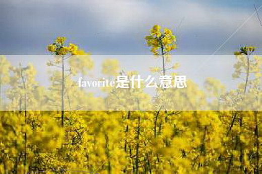 favorite是什么意思