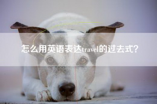 怎么用英语表达travel的过去式？