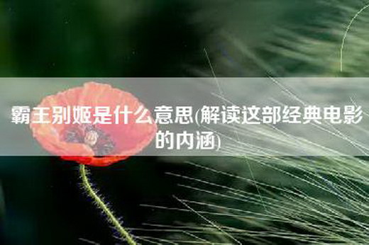 霸王别姬是什么意思(解读这部经典电影的内涵)