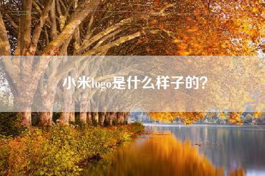 小米logo是什么样子的？