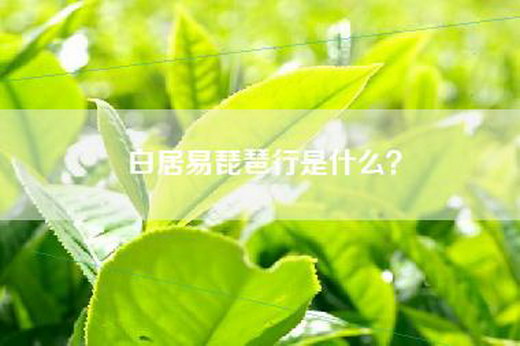 白居易琵琶行是什么？