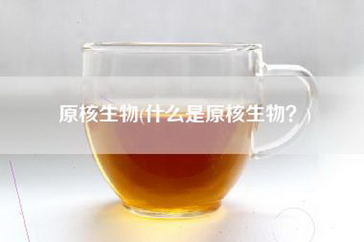 原核生物(什么是原核生物？)